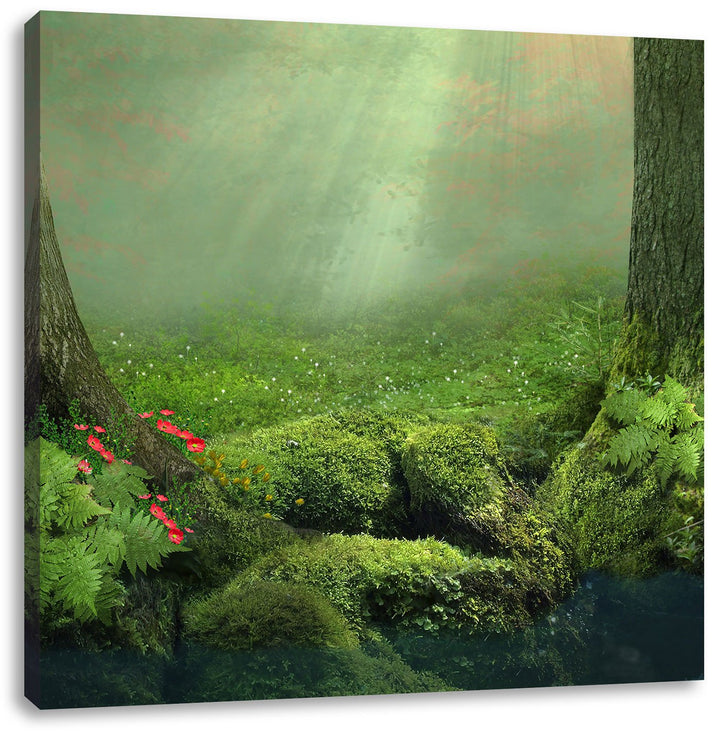 Pixxprint Baumwurzel und Schmetterling, Format: 70x70 auf Leinwand, 70x70