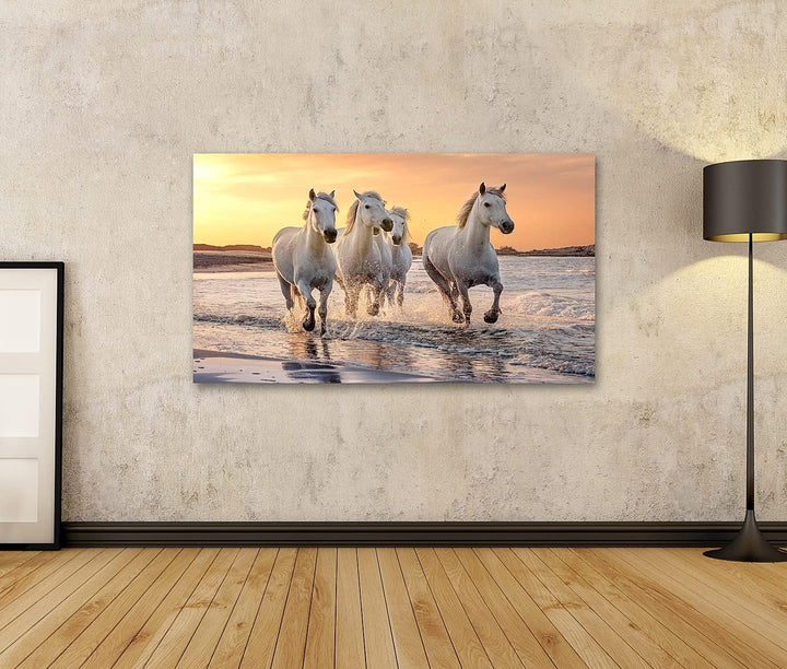 islandburner Bild auf Leinwand Weisse Pferde Camargue Frankreich Galoppierendes Wasser Über Dem Meer