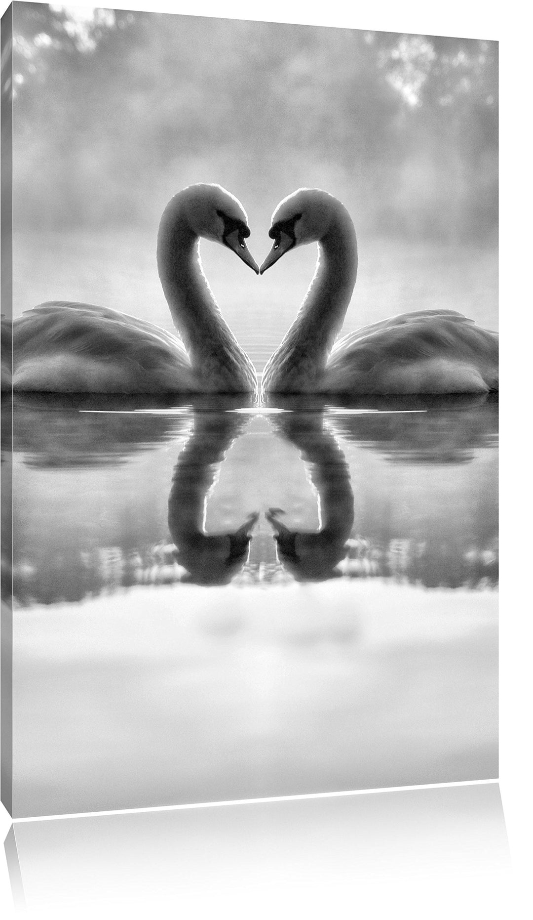 Pixxprint Verliebte Schwäne im Morgengrauen als Leinwandbild/Grösse: 100x70 cm/Wandbild/Kunstdruck/f