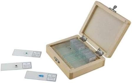 Celestron 44410 vorbereitete Mikroskop-Objektträger, Packung mit 25 Vorbereitete Objektträger, 25 St