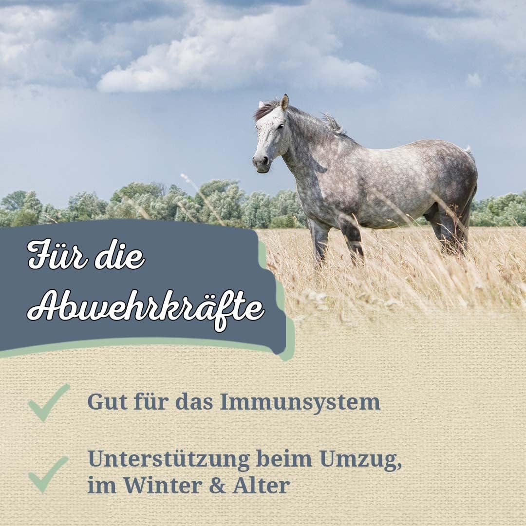 Krauterie Purpursonnenhut (Echinacea) für Pferde in Spitzenqualität (1000 g) - Artgerechtes Einzelfu