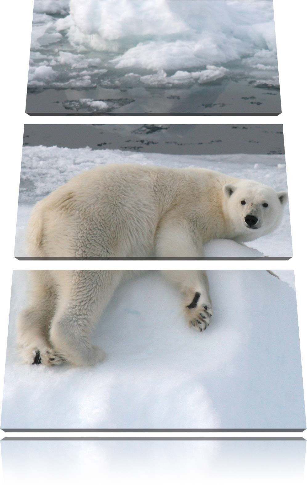 Pixxprint Eisbär auf Eisberg / 3-Teilig/Gesamtmass 120cm Leinwandbild bespannt auf Holzrahmen/Wandbi
