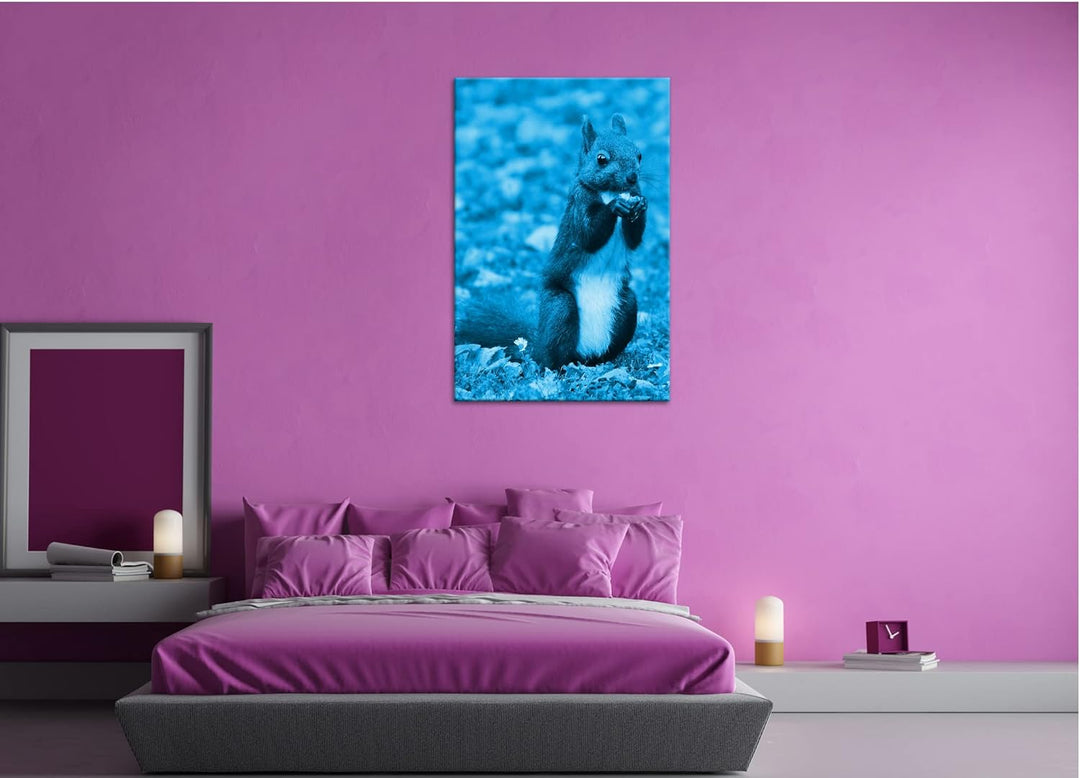 deyoli Zucker süsses Eichhörnchen beim essen Format 80x60 Effekt: Monocrome Blau als Leinwandbild, M
