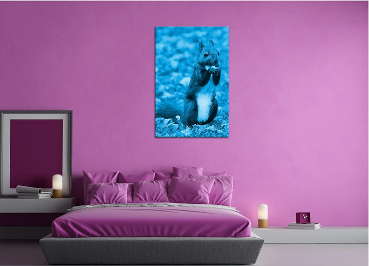 deyoli Zucker süsses Eichhörnchen beim essen Format 80x60 Effekt: Monocrome Blau als Leinwandbild, M