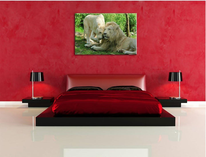 verliebtes Löwenpaar, Format: 100x70 auf Leinwand, XXL riesige Bilder fertig gerahmt mit Keilrahmen,