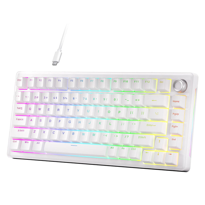 Dierya DK81E Gaming Tastatur,75% Prozent Gasket Mechanische Tastatur mit Knopf,RGB Hot Swap Linearer