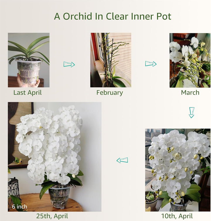 Meshpot Orchideentöpfe mit Löchern zum Umtopfen, 12,7 cm, 2 Stück, doppellagiger Kunststoff-Imitat,