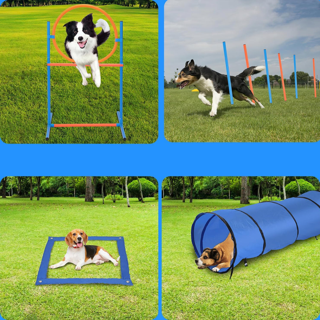 Sonnewelt Agility Set Hunde, 5-teilig für Hundetraining &amp; Freizeit
