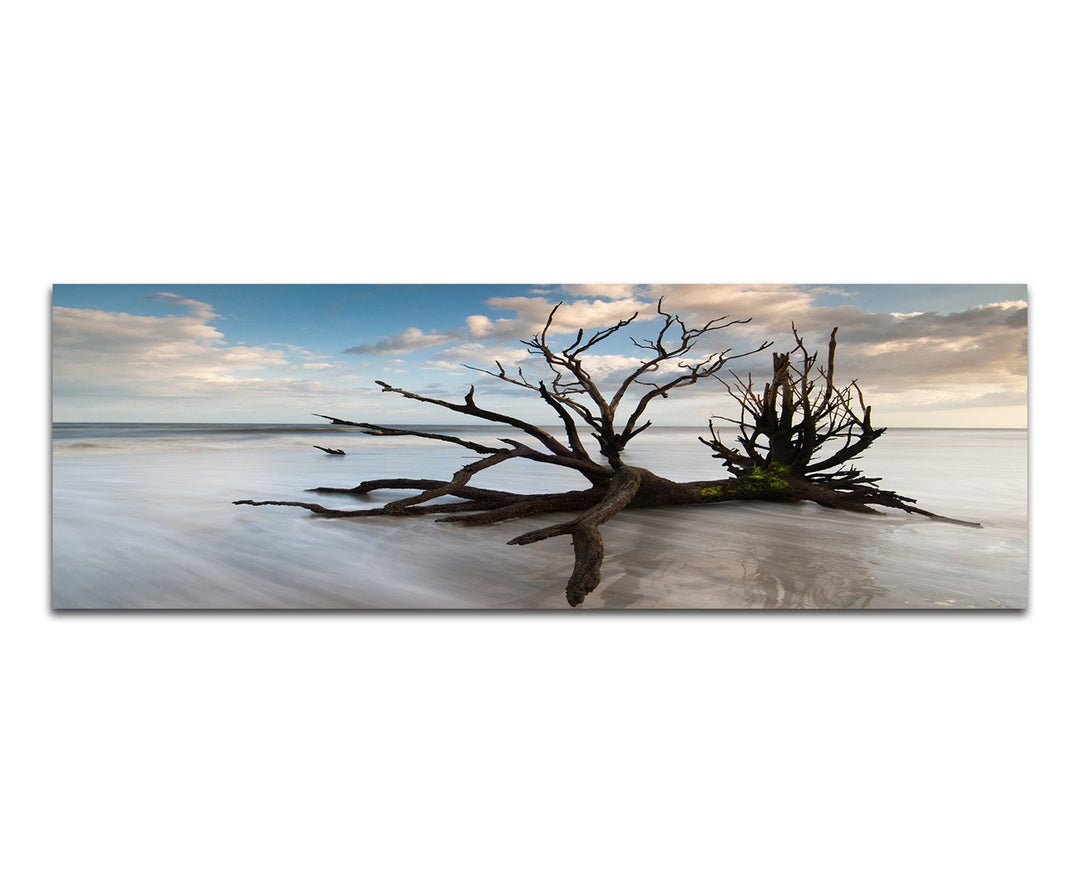 Paul Sinus Art Panoramabild auf Leinwand und Keilrahmen 150x50cm Baum Geäst Nebel Wolken Himmel