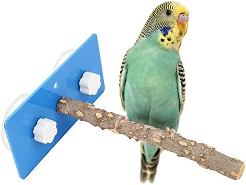 Vogel Saugnapf Dusche Stange Ständer Vogel Papagei Perches Faltbare Saugnapf Fenster Dusche Bad Wand