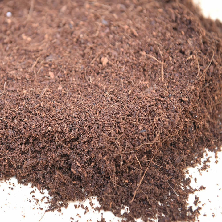 grünhopper Extra Dry Cocobedding Kokoseinstreu 50 Liter, Circa 9 kg