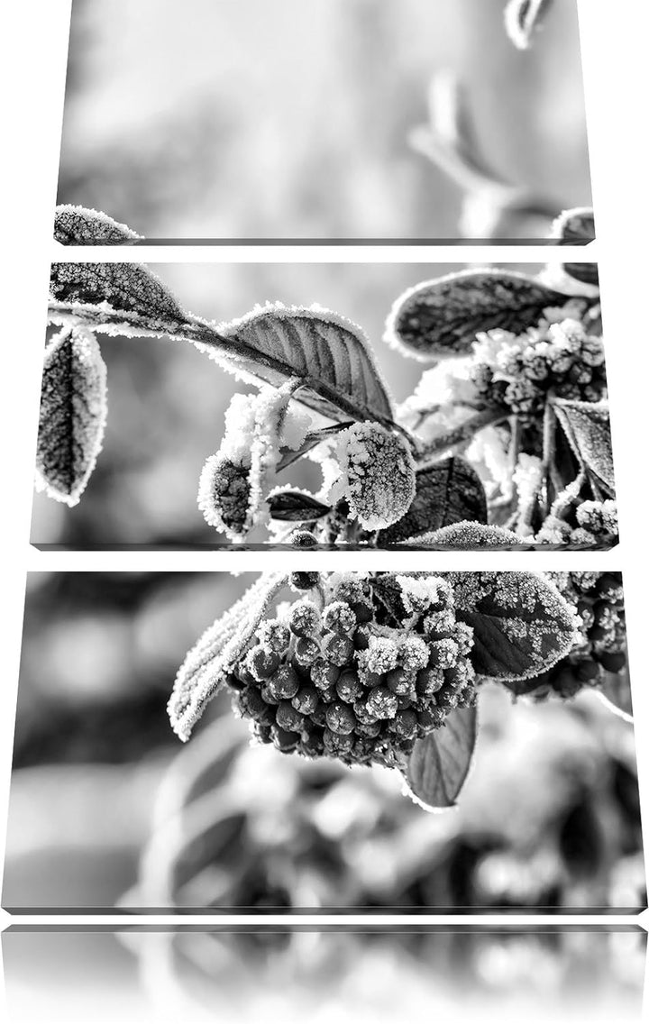 Pixxprint Monocrome, Vogelbeeren im Winter 3-Teiler Leinwandbild 120x80 Bild auf Leinwand