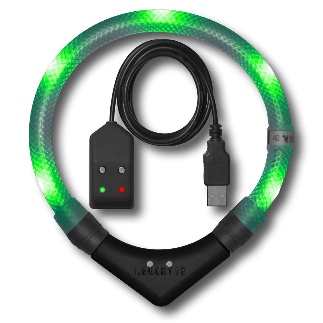 LEUCHTIE® Easy Charge Leuchthalsband Hund aufladbar, wasserdichtes LED Halsband, Leuchtband für Hund