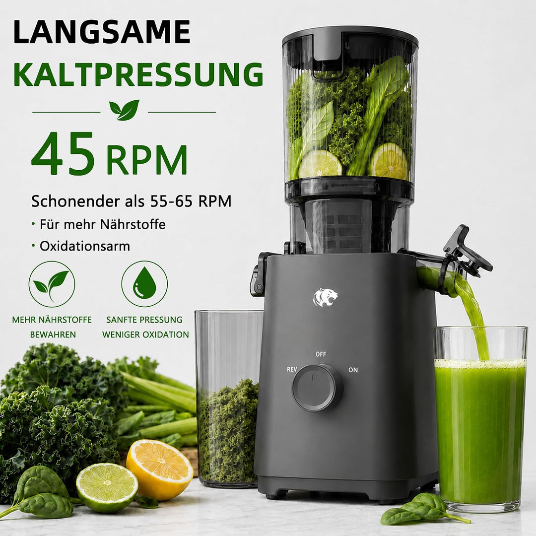 Entsafter Slow Juicer mit 120mm breitem Einfüllstutzen – Kaltpress-Entsafter für Obst und Gemüse mit