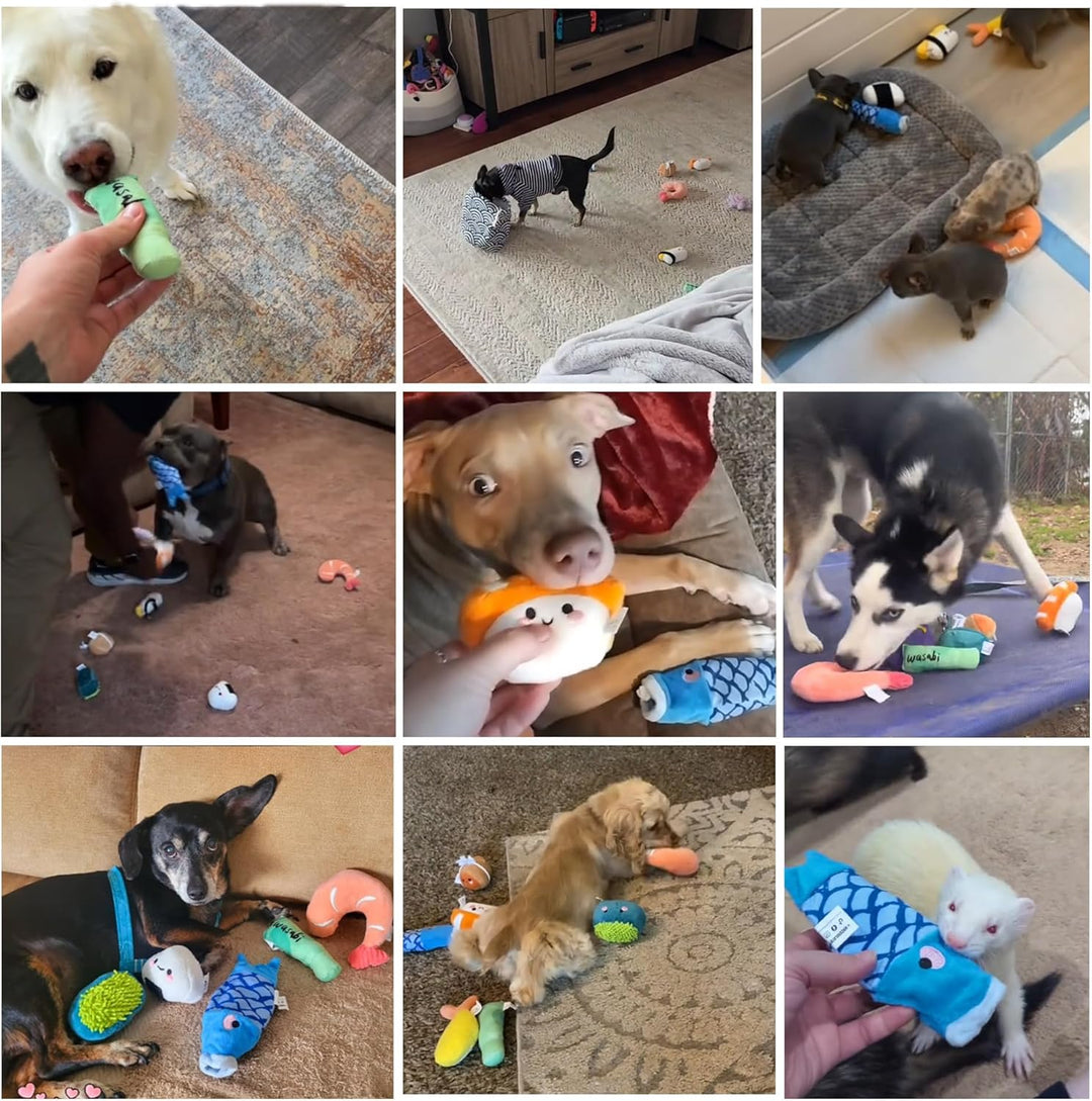 Nocciola Sushi-Hundespielzeug für kleine bis mittelgrosse Hunde, niedliches Plüschspielzeug mit Tasc