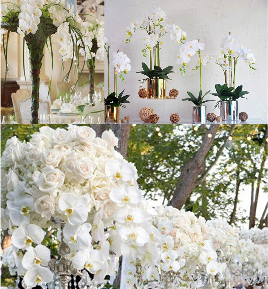 FagusHome 6 Stück künstliche Phalaenopsis Orchideen Blumen Weiss mit 6 Bündeln Künstliche Orchidee B