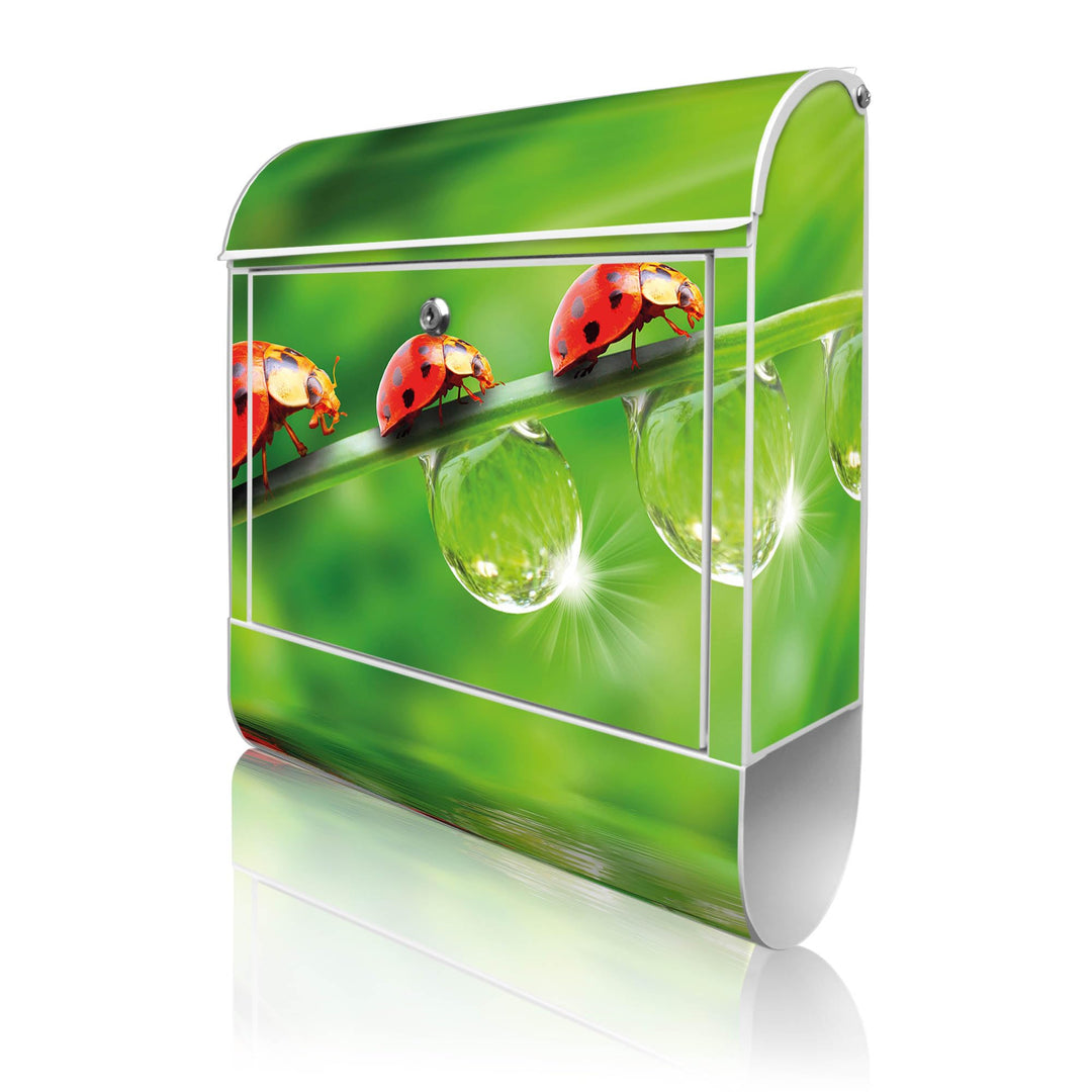 banjado® Design Briefkasten mit Motiv Für Jeden Einen 39x47x14cm &amp; 2 Schlüssel - Briefkasten Stahl w