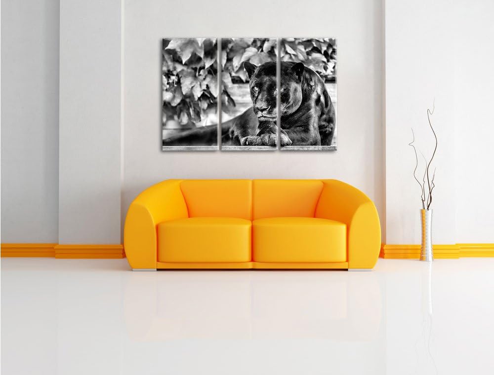 Pixxprint schöner schwarzer Panther als Leinwandbild/Grösse: 3 Teilig (120x80) cm/Wandbild/Kunstdruc