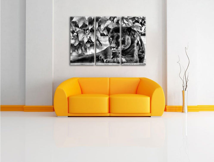 Pixxprint schöner schwarzer Panther als Leinwandbild/Grösse: 3 Teilig (120x80) cm/Wandbild/Kunstdruc