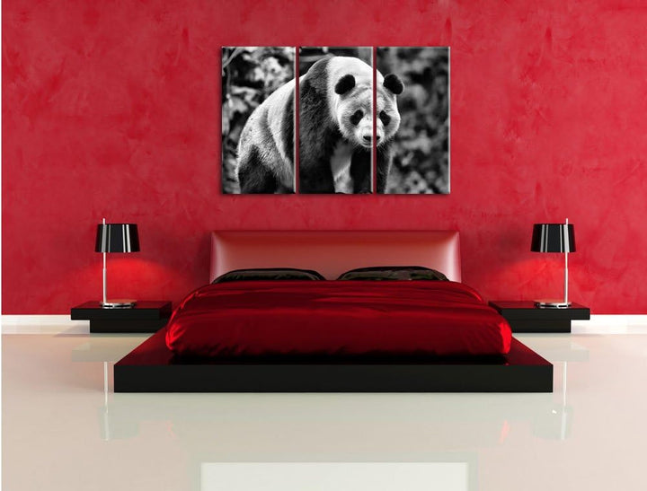 Pixxprint Monocrome, grosser Pandabär 3-Teiler Leinwandbild 120x80 Bild auf Leinwand