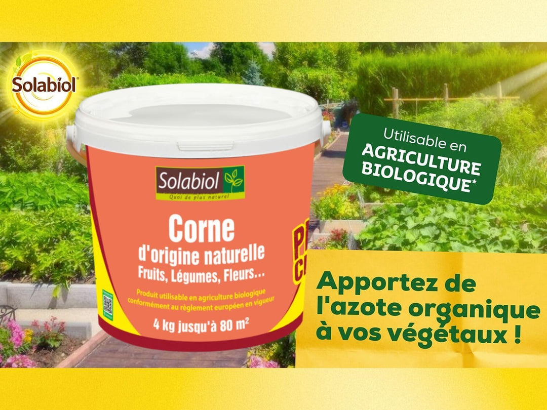 SBM SOLABIOL CORNE D Origine NATURELLE SEAU 4 KG SOCOR4