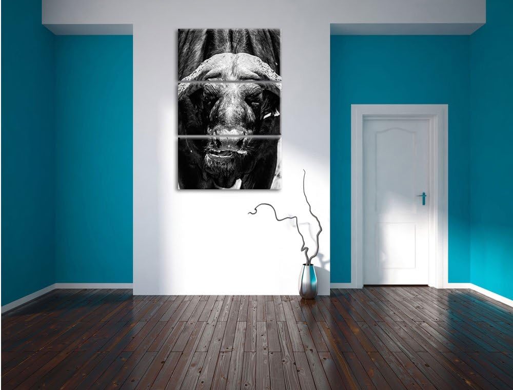 Pixxprint Wasserbüffel Schwarz/weiss 3-Teiler Leinwandbild 120x80 Bild auf Leinwand