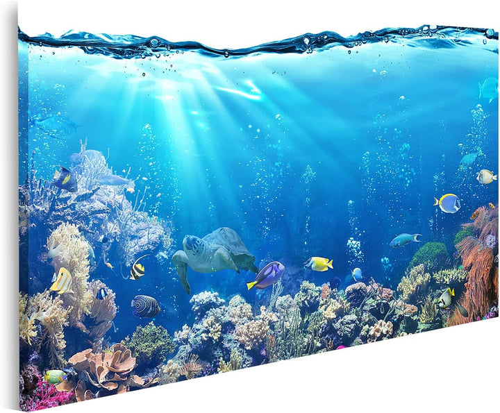 islandburner Bild auf Leinwand Unterwasser Mit Riff Und Tropischen Fischen Aquarium Hintergrund Bild