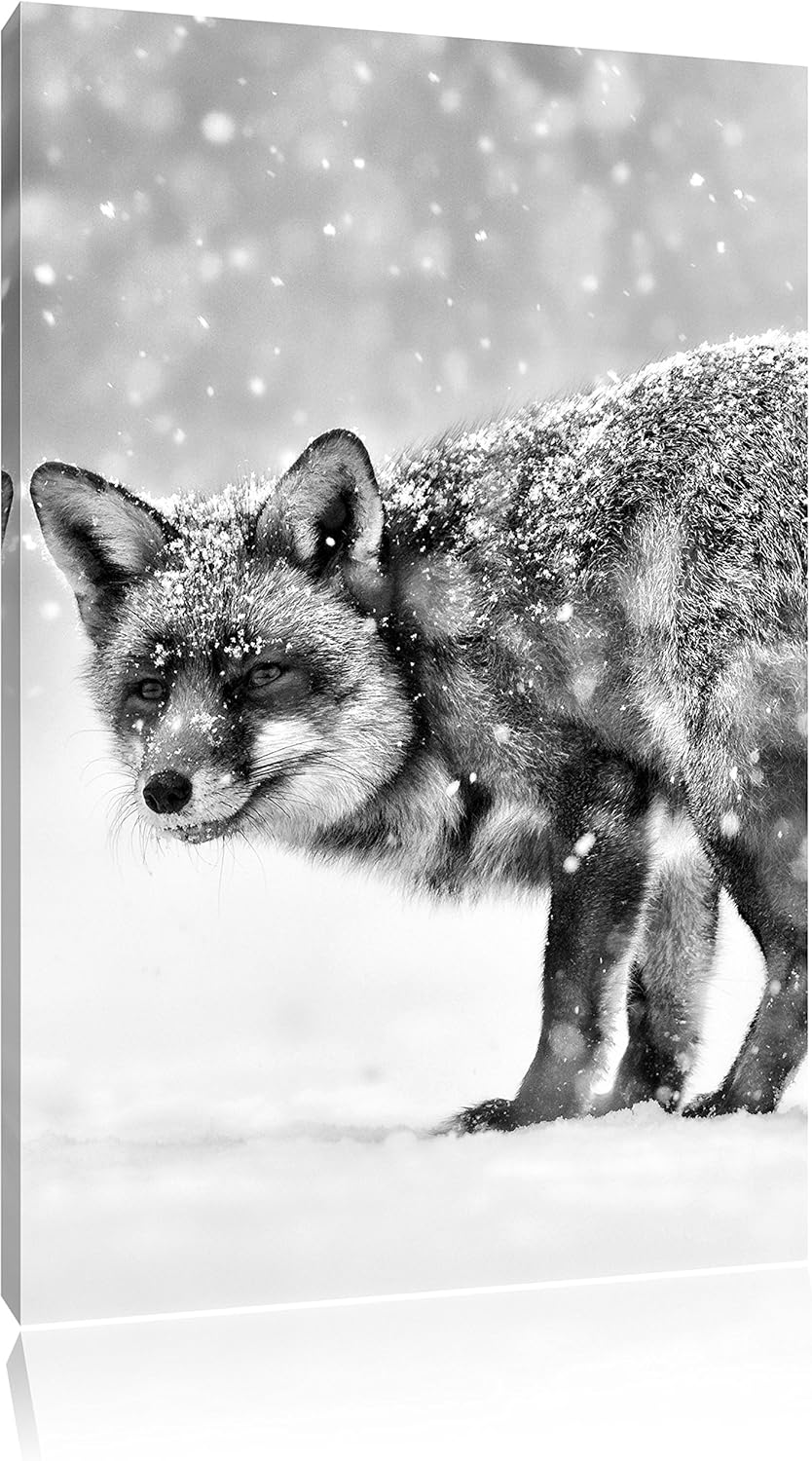 Pixxprint Monocrome, Roter Fuchs im Schneegestöber, Format: 100x70 auf Leinwand, 100x70