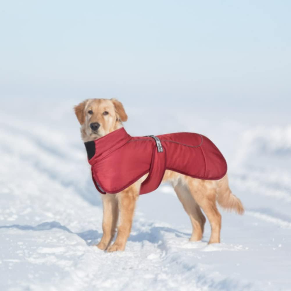 Hundemäntel Wasserdicht Winddicht Warm Winter Sicher mit Gewinde Reflektierende Streifen Jacke für M