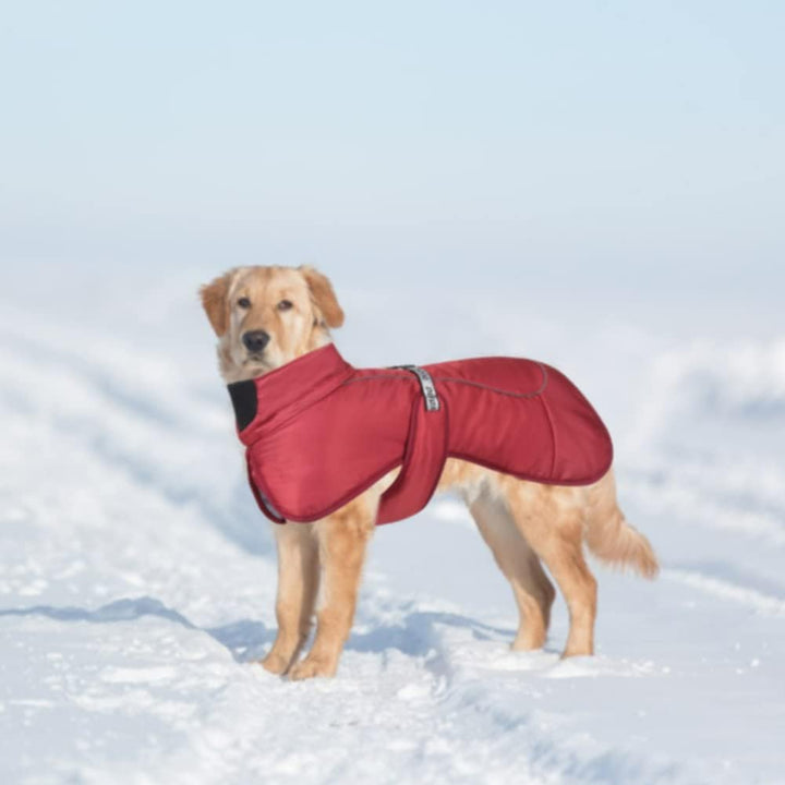 Hundemäntel Wasserdicht Winddicht Warm Winter Sicher mit Gewinde Reflektierende Streifen Jacke für M