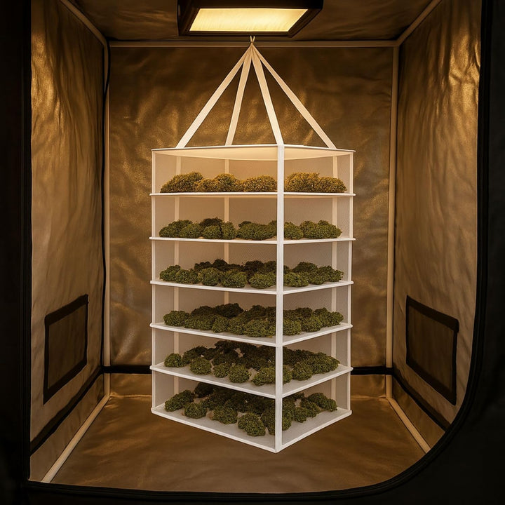 Weedness Gow Trockennetz Ø 80 cm 8 Lagig für Growboxen – Kräutertrockner Trocknungsnetz zum Aufhänge