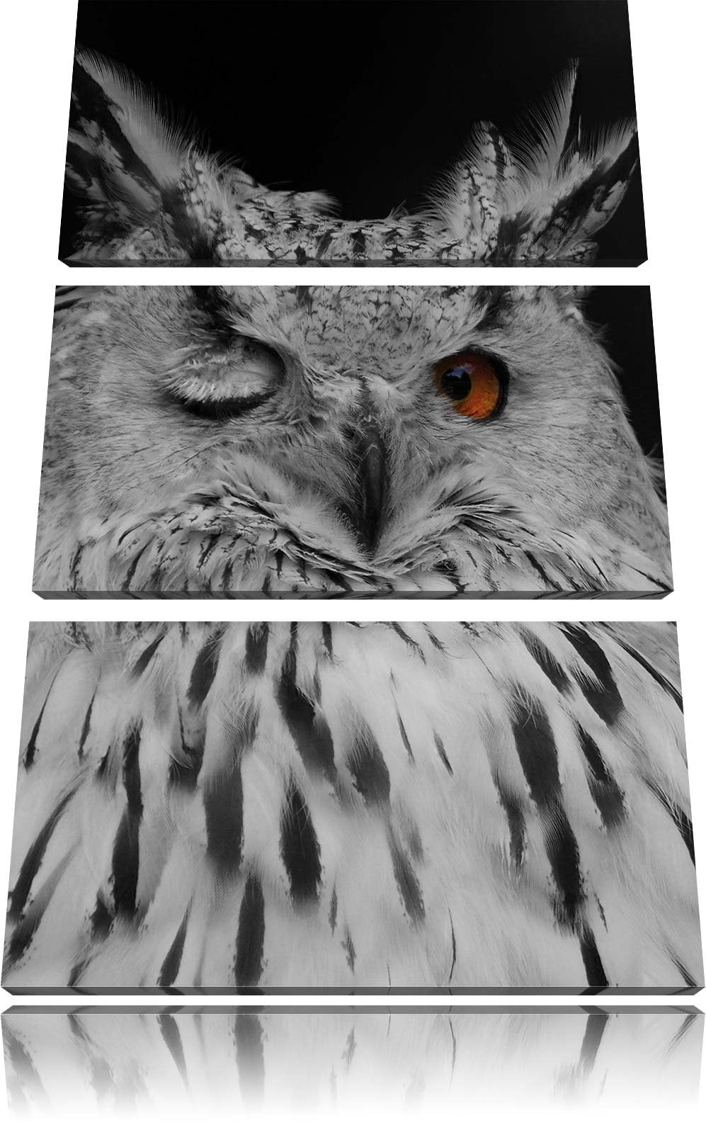 Pixxprint Dark schöne Waldohreule zwinkert schwarz/weiss 3-Teiler Leinwandbild 120x80 Bild auf Leinw