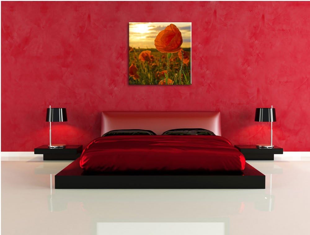 Pixxprint Mohnfeld, Format: 70x70 auf Leinwand, XXL riesige Bilder fertig gerahmt mit Keilrahmen, Ku