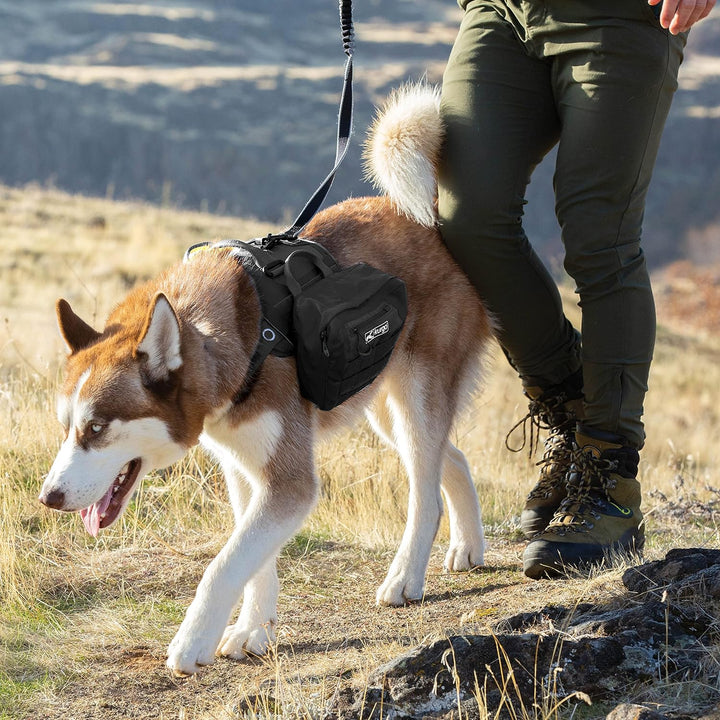 Kurgo RSG Townie Hundegeschirr, Einfaches Anlegen und Abnehmen, Einstellbare Brust- und Bauchgurte,