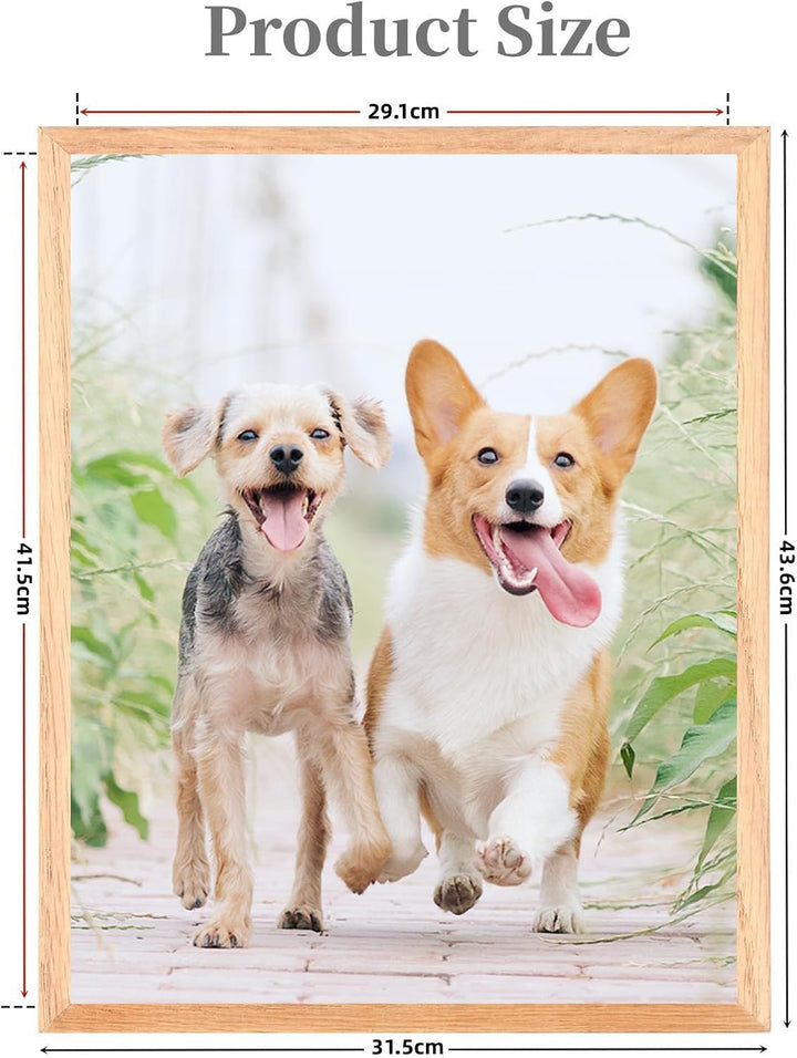 Weikani A3 Fotorahmen mit Matte, 2 Pack-29.7x42cm Eiche Bilderrahmen Plexi-Glas, Zertifikatsrahmen f