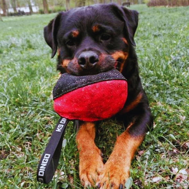 Dingo Gear Trainings-Spielzeug Nylcott French Material Training Spiel Apport IGP K9 Obedience Apport