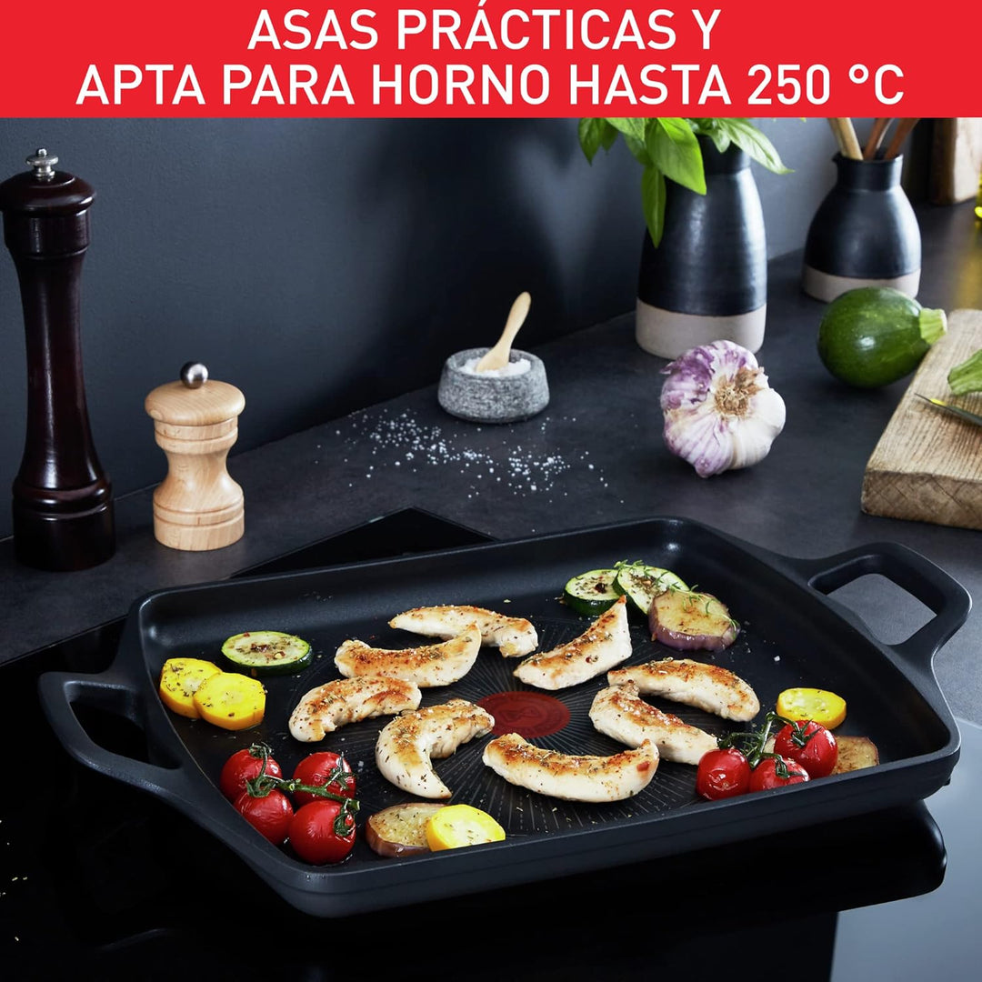 Tefal Aroma auf Teller, 26 x 32 cm
