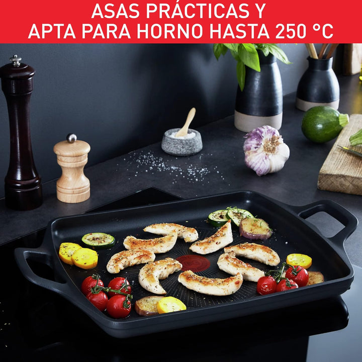 Tefal Aroma auf Teller, 26 x 32 cm