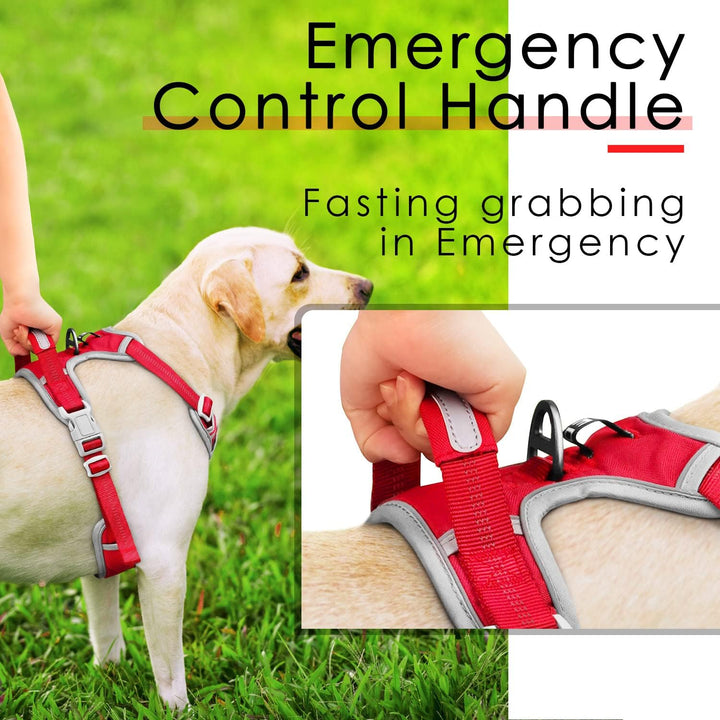 ThinkPet No-Pull Hundegeschirr, Atmungsaktiv Brustgeschirr für Kleine Mittlere Grosse Hunde, Einstel