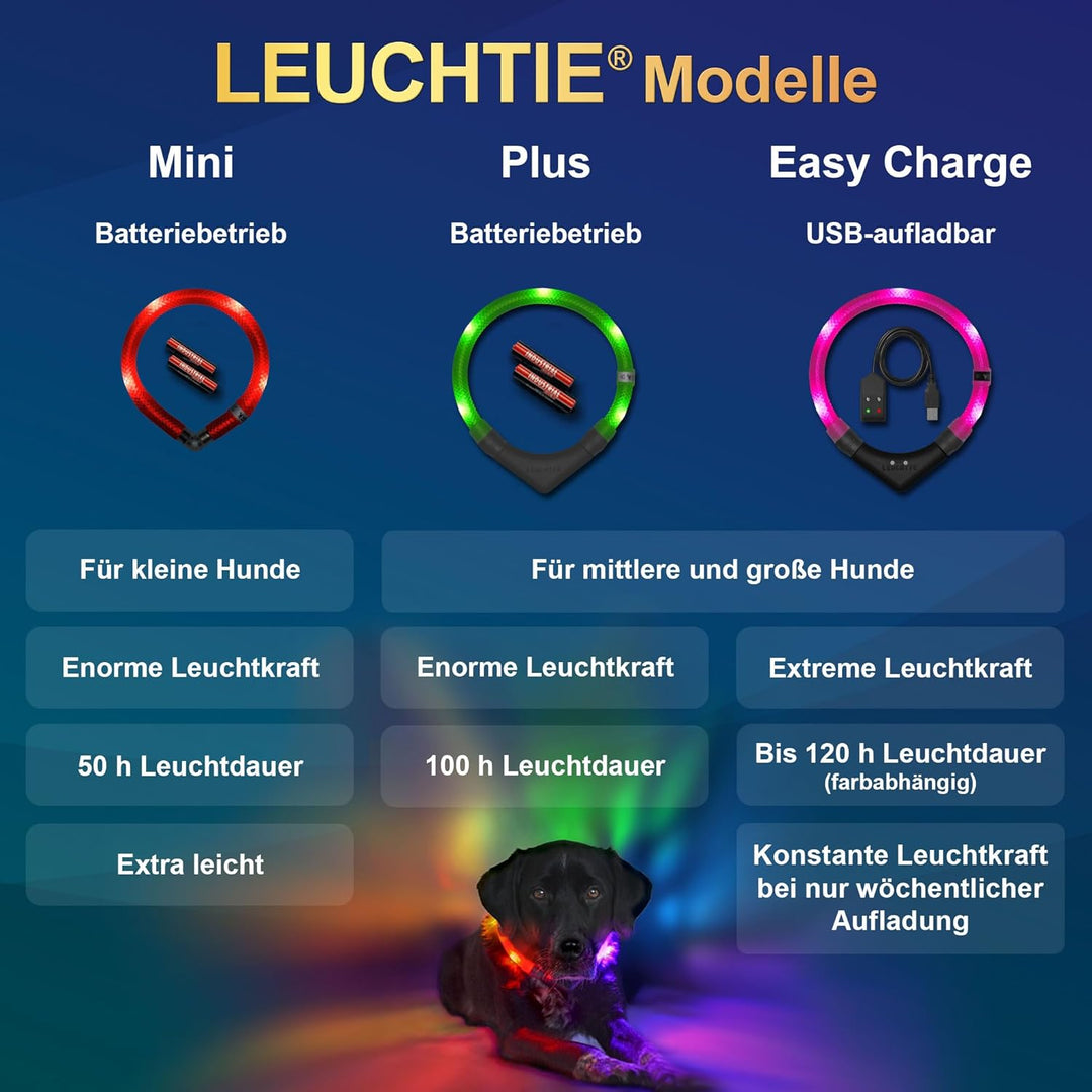 LEUCHTIE® Leuchthalsband Plus Lavendel Grösse 50 I LED Halsband für Hunde I 100 h Leuchtdauer I wass