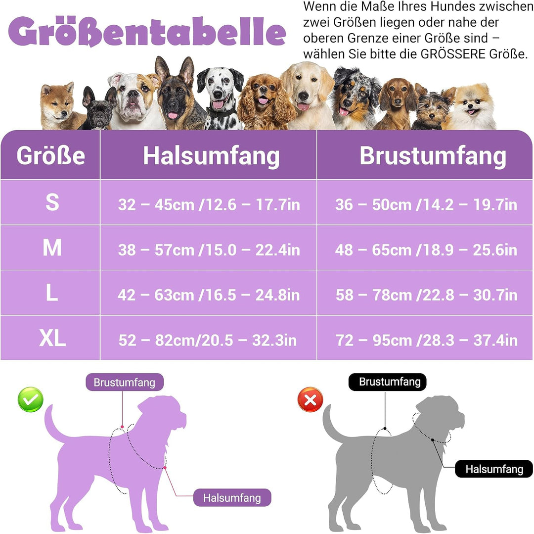 Funfox Hundegeschirr Mittelgrosse Hunde, Anti Zug Brustgeschirr Verstellbares Geschirr Hund mit Grif