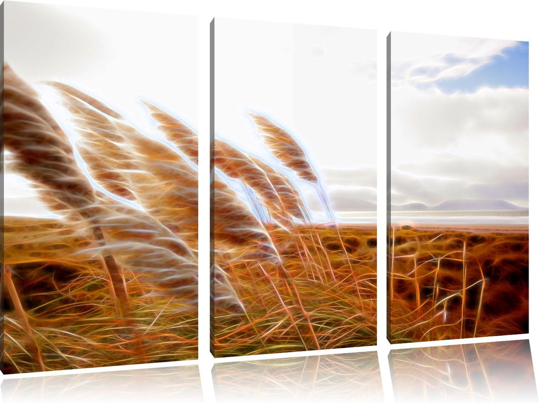 Schönes Schilf in den Dünen Spezial 3-Teiler Leinwandbild 120x80 Bild auf Leinwand, XXL riesige Bild