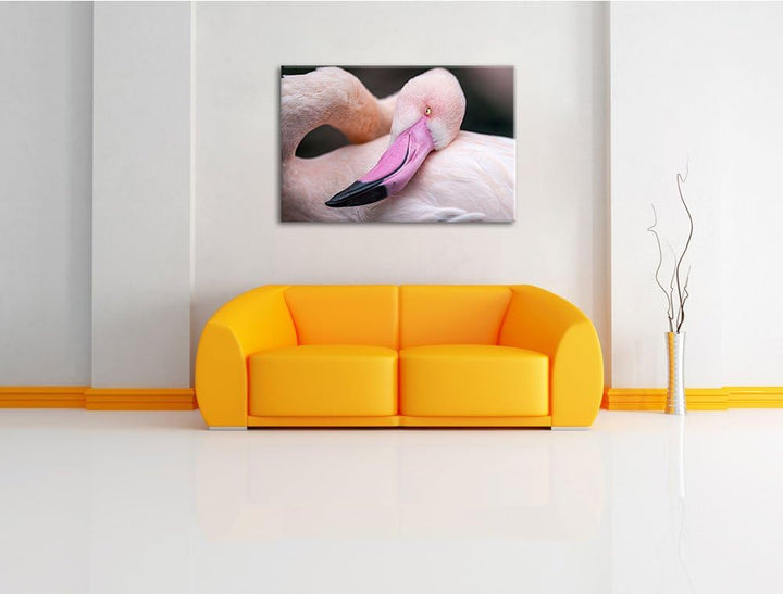 Pixxprint schöner Flamingo auf Leinwand, XXL riesige Bilder fertig gerahmt mit Keilrahmen, Kunstdruc