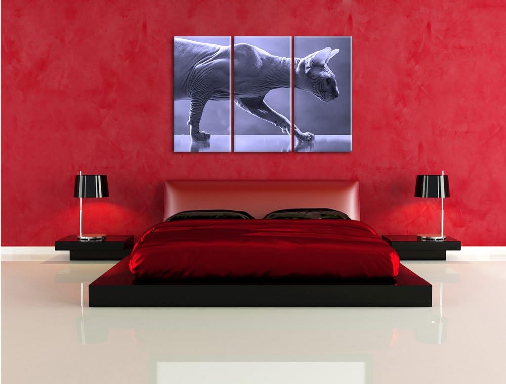 Pixxprint Einzigartige Sphynx Katze Schwarz/Weiss 3-Teiler Leinwandbild 120x80 Bild auf Leinwand