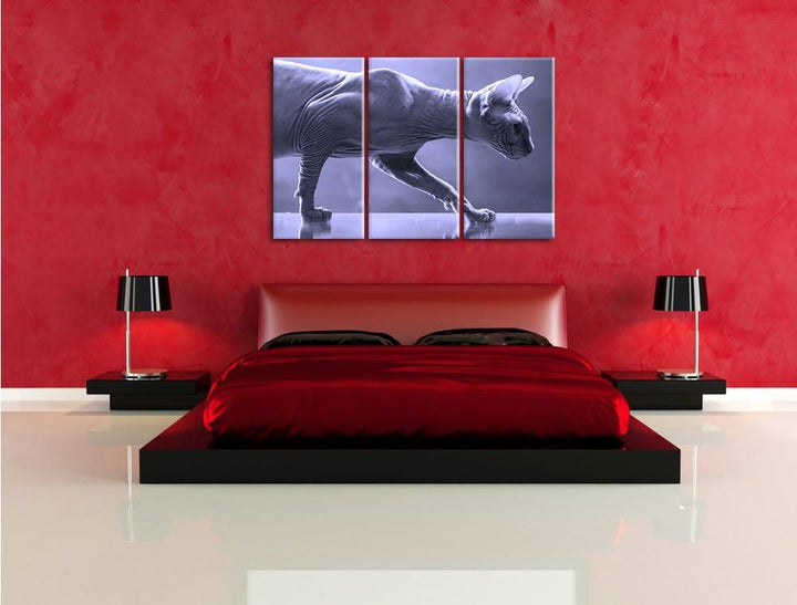 Pixxprint Einzigartige Sphynx Katze Schwarz/Weiss 3-Teiler Leinwandbild 120x80 Bild auf Leinwand