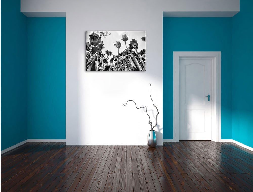 Monocrome, Rosenfeld, Format: 100x70 auf Leinwand, XXL riesige Bilder fertig gerahmt mit Keilrahmen,