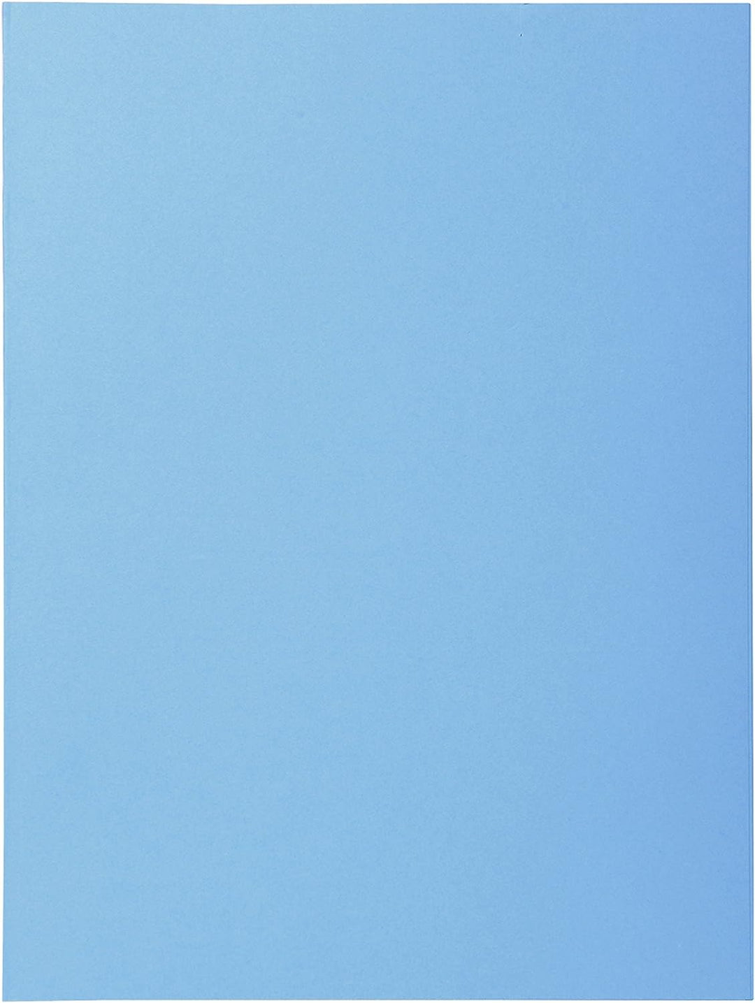EXACOMPTA 332006E Ordnerrcken-Etiketten SPECIAL blau, Blau