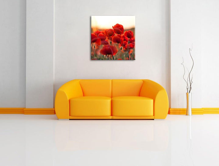 Pixxprint Feuriger Mohn, Format: 70x70 auf Leinwand, XXL riesige Bilder fertig gerahmt mit Keilrahme