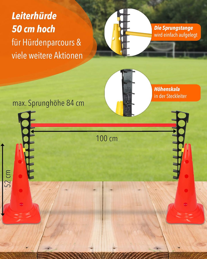 Kombi Leiterhürde 50 mit Stange 100 cm – Parcours-Hindernis für Agility-Training – Sprung- & Slalom-