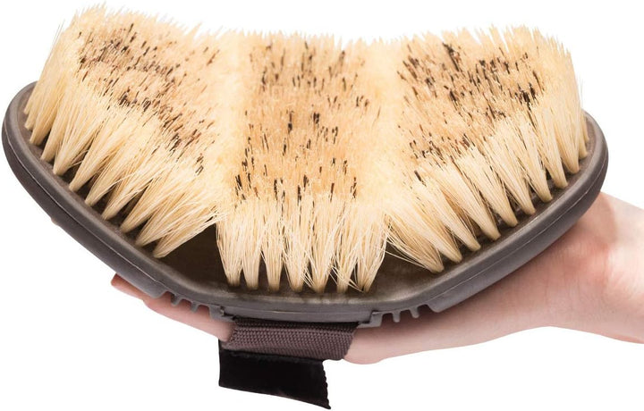 Animalon CareFlex Wurzelbürste – Naturhaar-Pferde-Bürste – Wurzelkardätsche mit harten Naturborsten